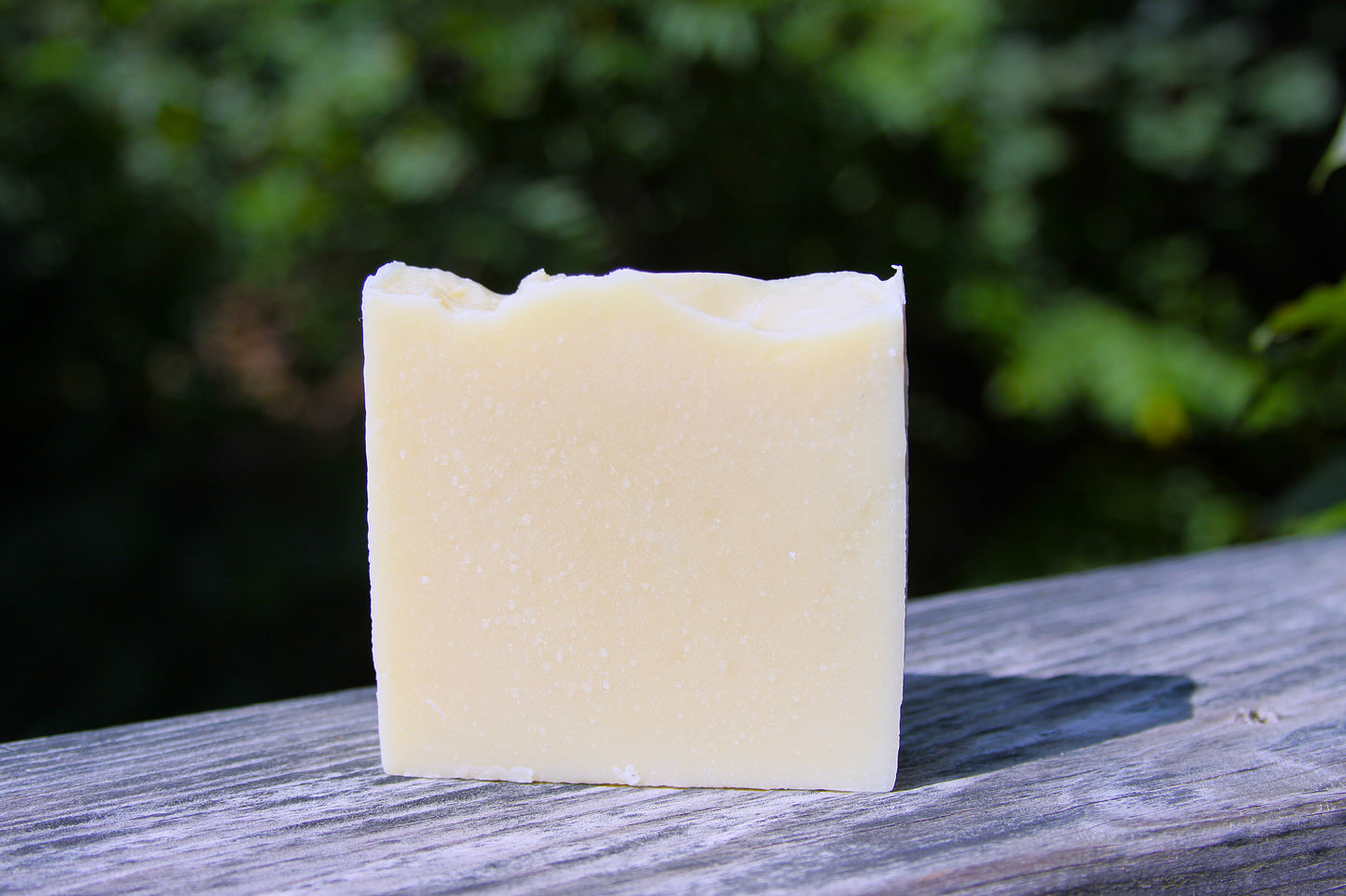 Citrus + Clay Exfoliating Bar